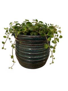 Seafoam Ridge Pot
